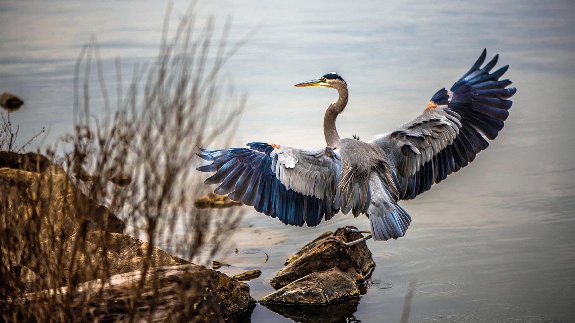开云·体育官网APP下载-五大联赛传球准确率是否已成为主力选拔核心标准,五大联赛传球成功率