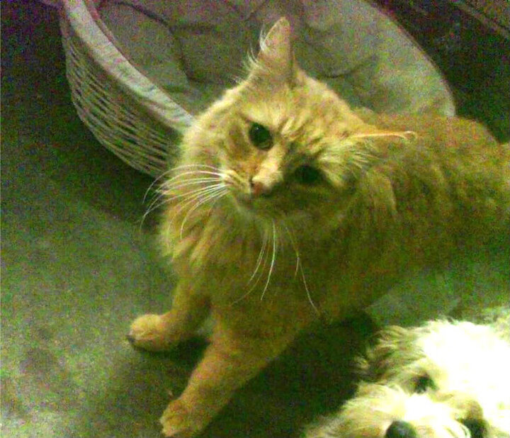 Kaiyun(中国)开云-体育器材质量监督结果优良合格率上升，体育器材质量认证