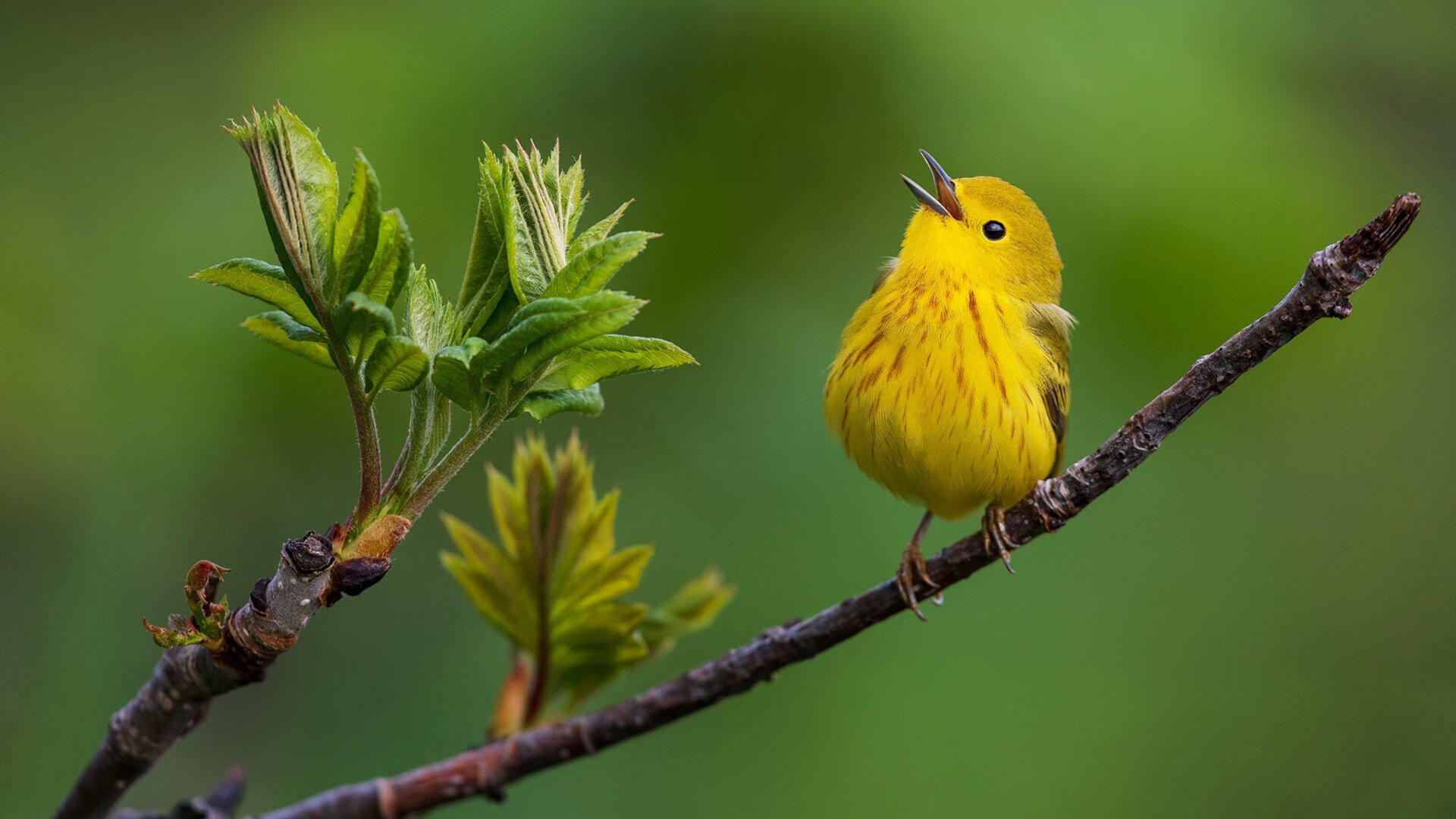 KAIYUN 中国大陆-国际热身赛中国足球逆袭 战术布置清晰，热身赛国足直播