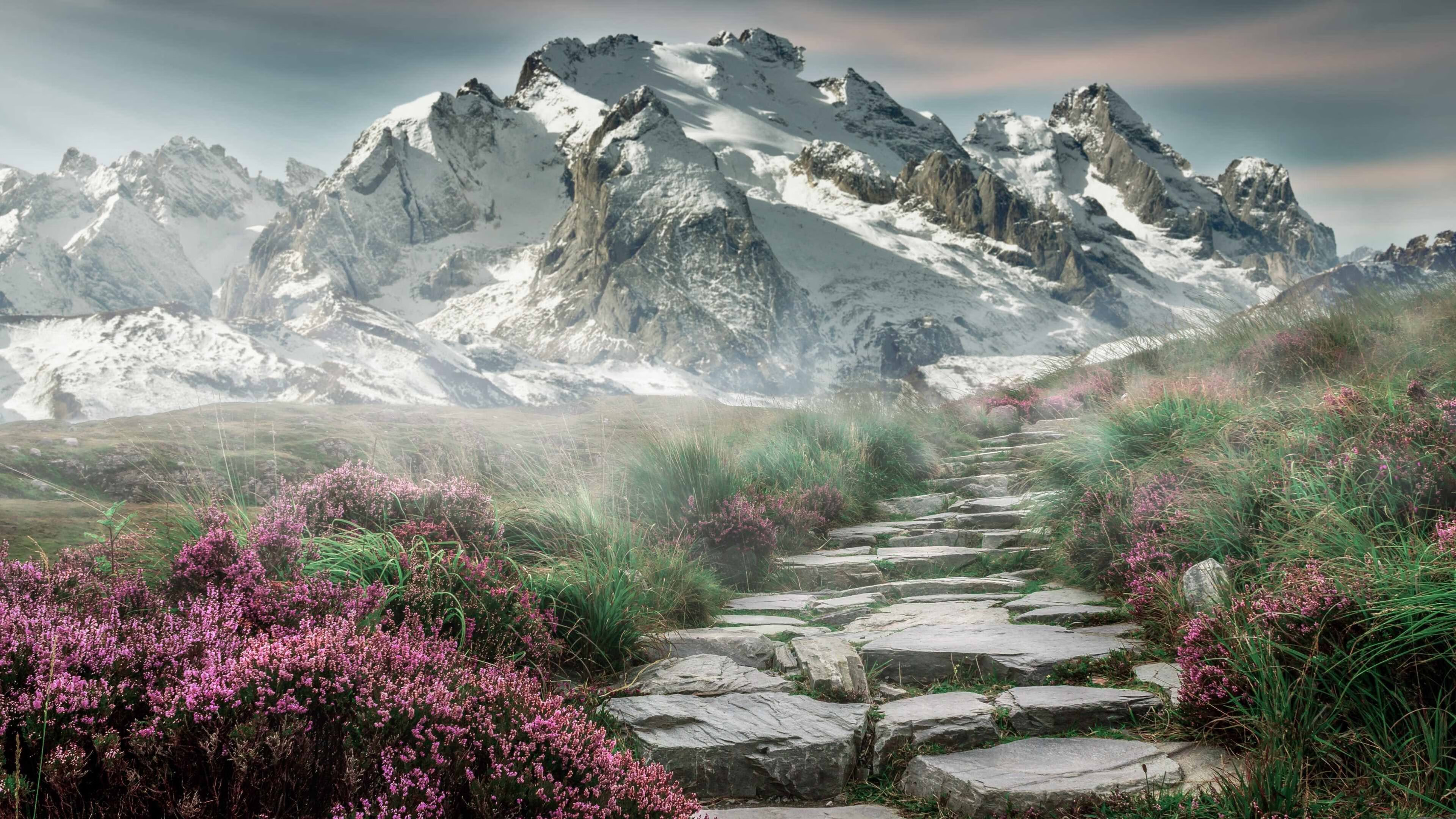 开云体育在线赛事直播-法兰克福前场逼抢激发防线失误，法兰克福最近战绩