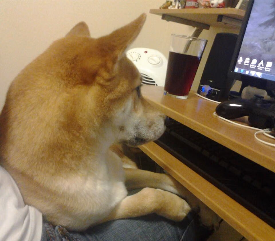 开云网页版-爆冷战胜强队的战术布置揭秘,爆冷输球什么意思