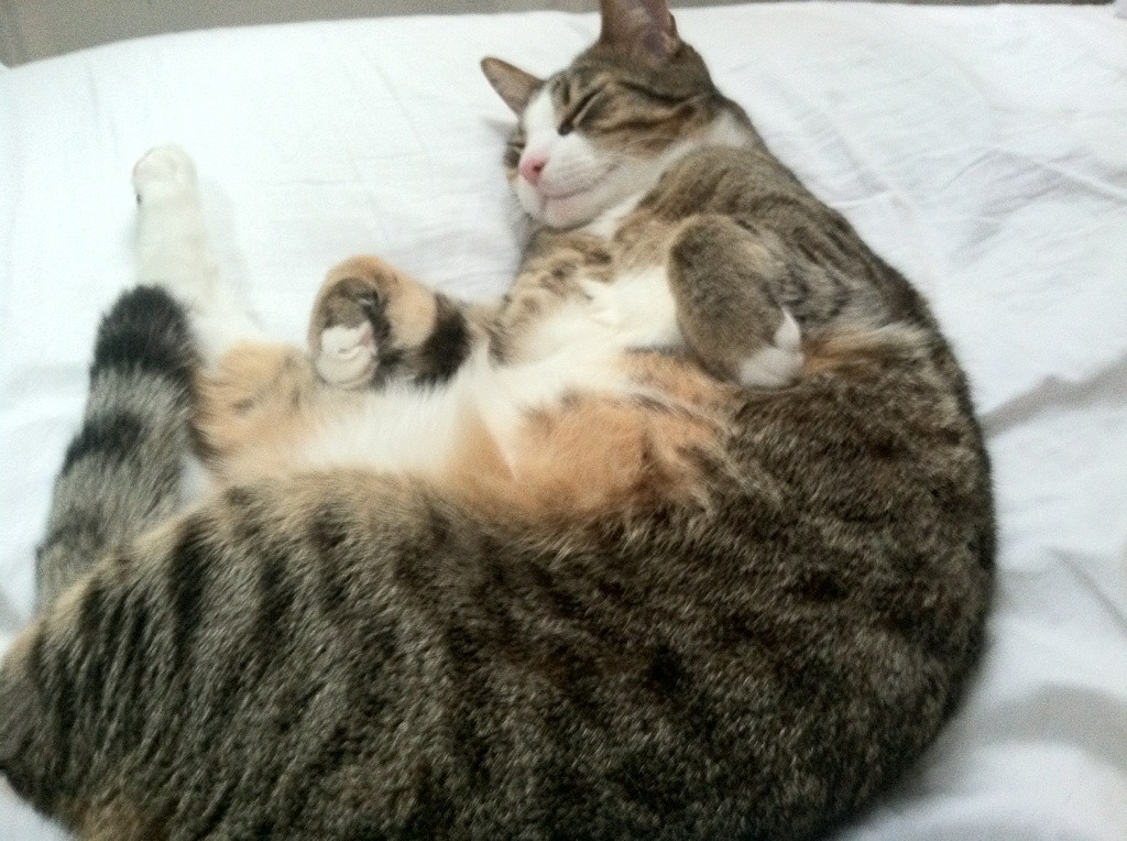 KAIYUN 中国大陆-球员出场时间饱和是否造成进攻疲软,球员上场时间