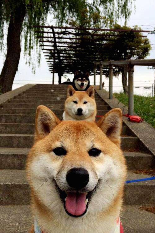 开云中国-中国足球国家队备战策略引入大数据监测，中国国家足球队的比赛