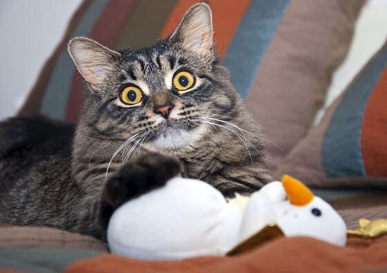 kaiyun体育app-全国青少年三对三篮球挑战赛总决赛成功举办，全国青少年三人篮球冠军挑战赛