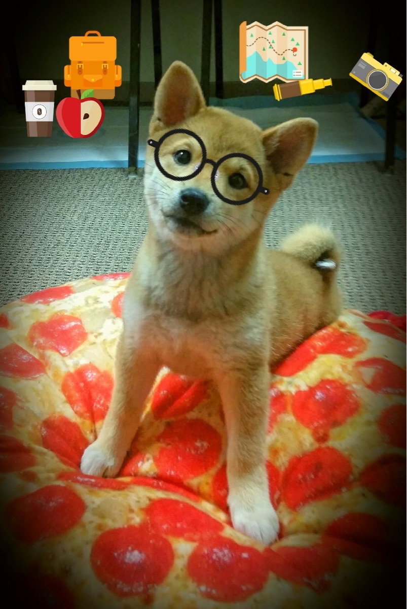 开云网页版-凯莉·麦基翁女子200米仰泳决赛精彩亮相,美国游泳麦基翁