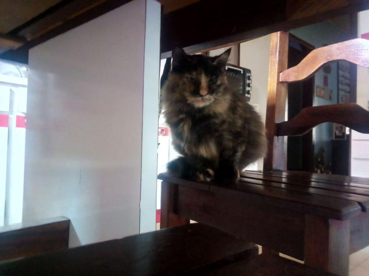 开云官方网页登录-墙外观众席开启，远程球迷互动成新趋势