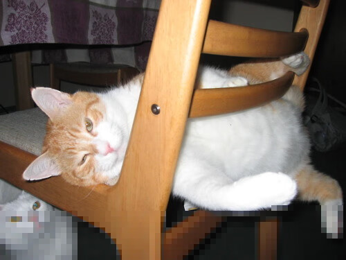 开云全站-极限单板滑雪赛技术动作创新频现,极限运动单板滑雪